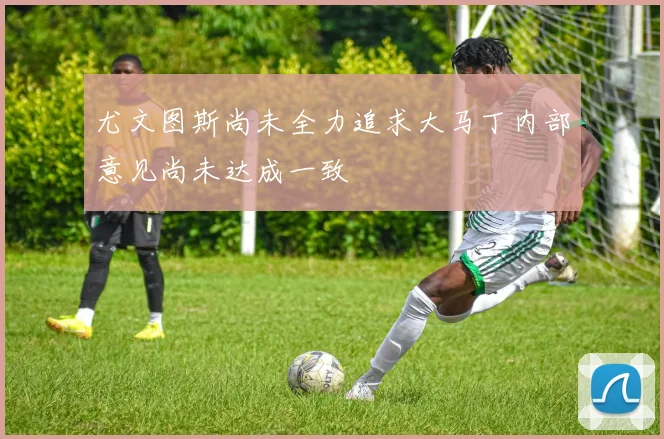 尤文图斯尚未全力追求大马丁内部意见尚未达成一致